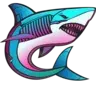 Shark Bait Auto Graphics